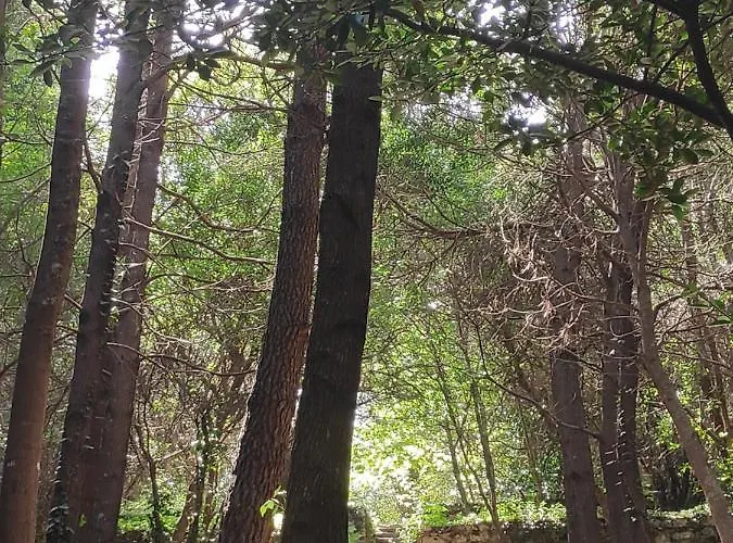 Sea House Appartamento